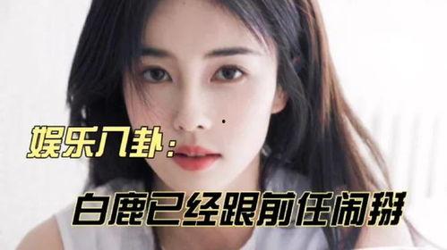娱乐八卦最新爆料白鹿热,娱乐圈新晋女神白鹿，热度飙升背后的秘密